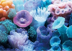1000 Piece Puzzles for Adults,Colorful Coral Anemone Jigsaw Puzzle,Blue Ocean Puzzles 1000 Pieces,Creative Games Difficult Underwater World Puzzle Home Decor Toy for Adults (27.5"x19.6"), 1:1 Poster