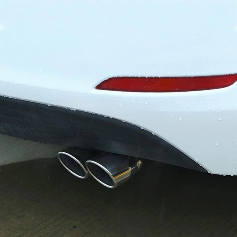 2.5 inch Inlet Dual Exhaust Tip Stainless Steel Polished Muffler Tail Universal Bolt-On Double Outlet Tail Pipe (Silver,Straight)
