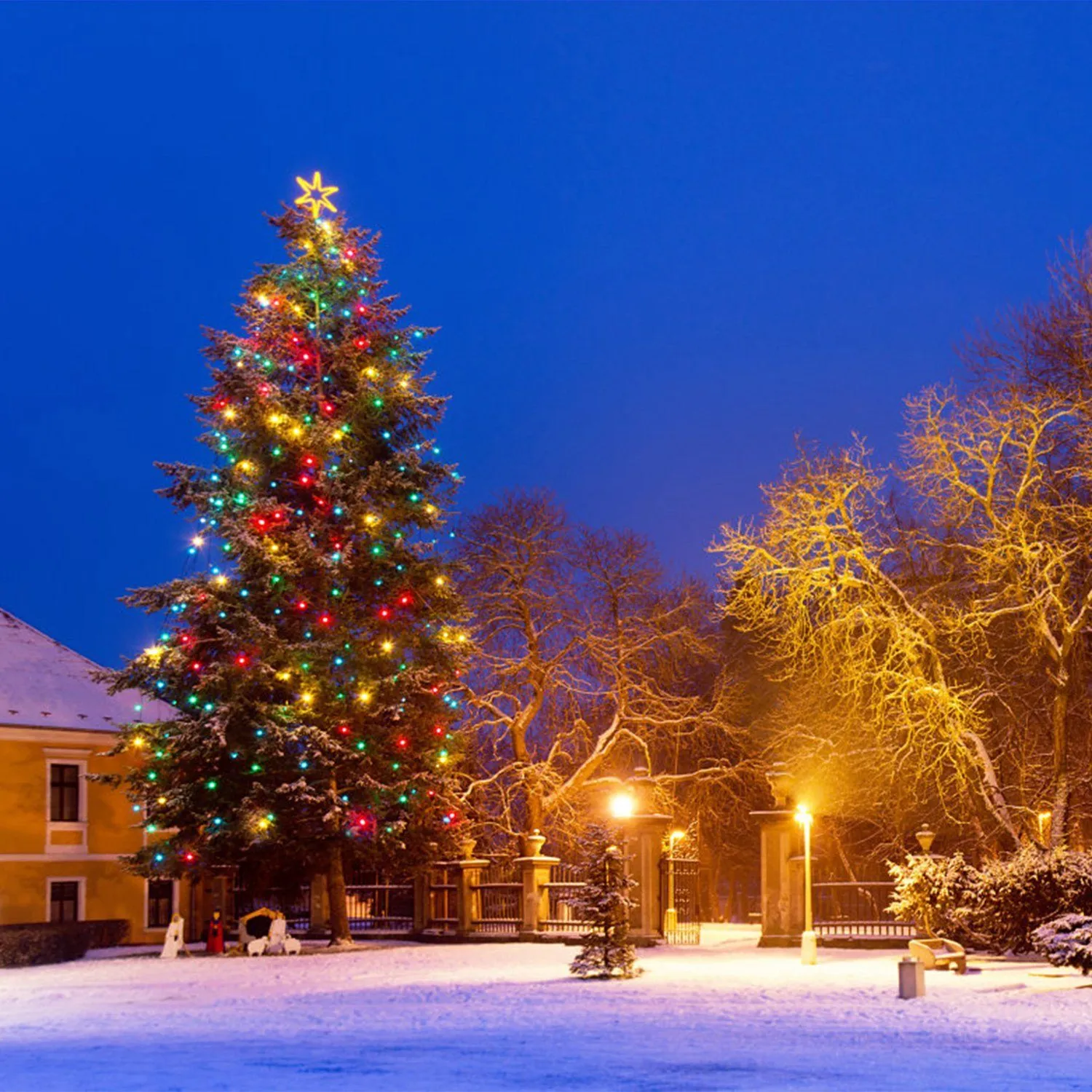40-LED 13.12FT Star Fairy Lights