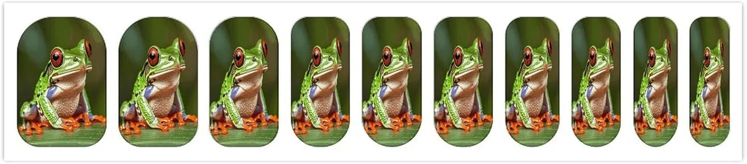 50 Pieces 5 Sheets Full Wrap Nail Stickers Red-Eyed Frog Print Self Adhesive Fingernail Strips Manicure Kit for Women DIY Art