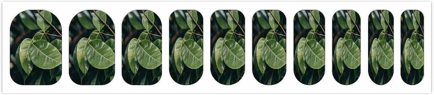 50 Pieces 5 Sheets Full Wrap Nail Stickers Eucalyptus Leaves Print Self Adhesive Fingernail Strips Manicure Kit for Women DIY Art