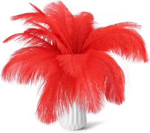 80pcs 15-17 inches (38-43 cm) Red Natural Bulk Ostrich Feathers Kit. Kits Contain 8-10 inches of Feathers and 7 inches of White Feather Sticks.for Various DIY Projects..(Red)