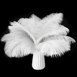 80pcs 15-17 inches (38-43 cm) White Natural Bulk Ostrich Feathers Kit. Kits Contain 8-10 inches of Feathers and 7 inches of White Feather Sticks.for Various DIY Projects.(White)