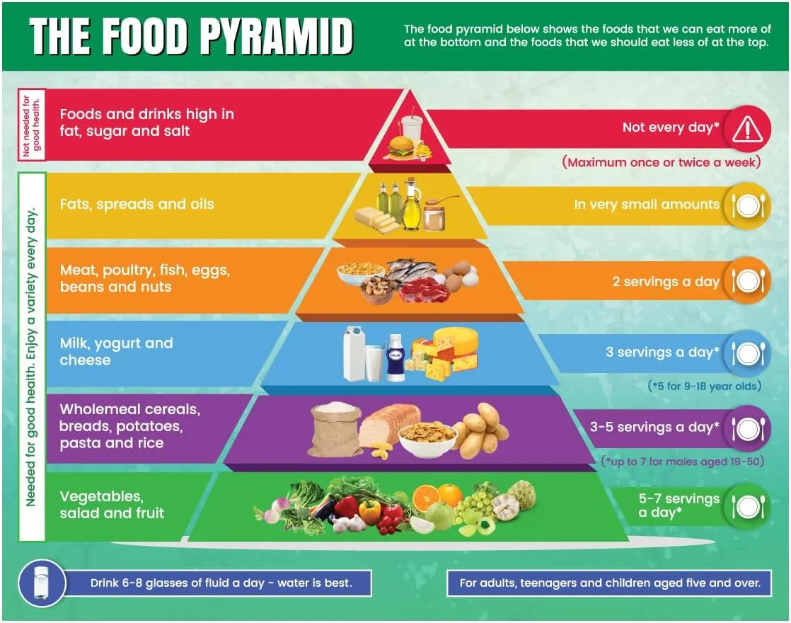 Above All Advertising Healthy Food Pyramid Chart | Food of Pyramid | Food Diet and Nutrition Pyramid Poster for Kids and Childrens | Food Stickers for Kids (11" x 17")