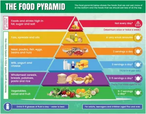 Above All Advertising Healthy Food Pyramid Chart | Food of Pyramid | Food Diet and Nutrition Pyramid Poster for Kids and Childrens | Food Stickers for Kids (11" x 17")