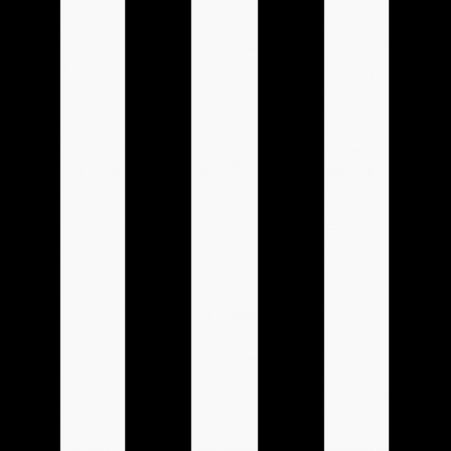Arden Outdoor Loveseat Cushion Set, 48 x 24, Water Repellent, Fade Resistant, Cushion Set for Couch, Bench, and Swing 48 x 24, Black Cabana Stripe