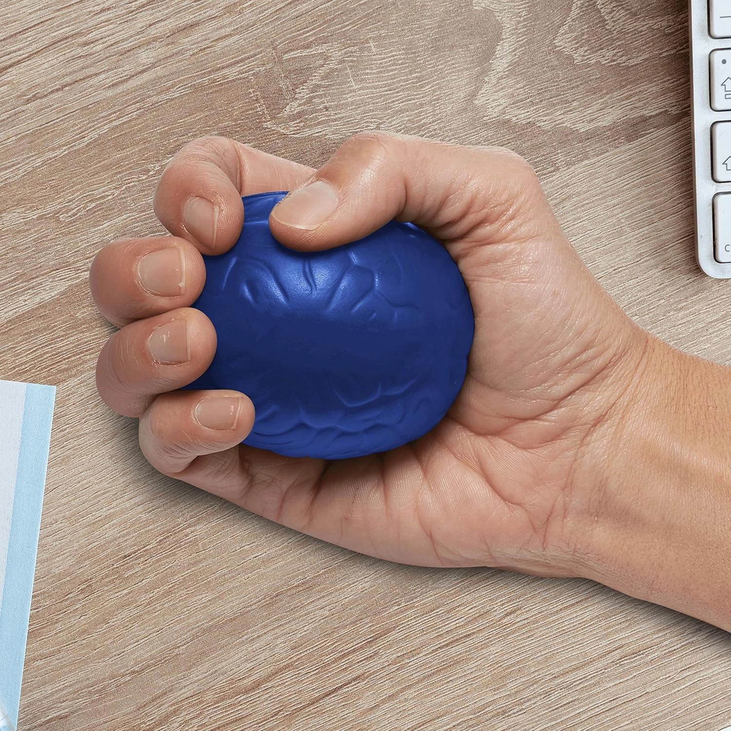 Brain Squeeze Balls Set of 10, Bulk Pack - Stress Relief, Perfect for Your Desk, Office or Home - Blue