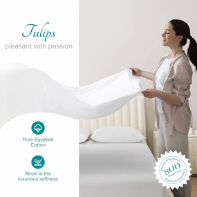 Carressa Linen 100% Egyptian Cotton Sheets Queen Size Bed Set - 4 PC 800 High Thread Count Egyptian Cotton Queen Sheet Set (White) Soft, Cooling, 16" Deep Pocket Sateen Weave Luxury Hotel Bedsheet