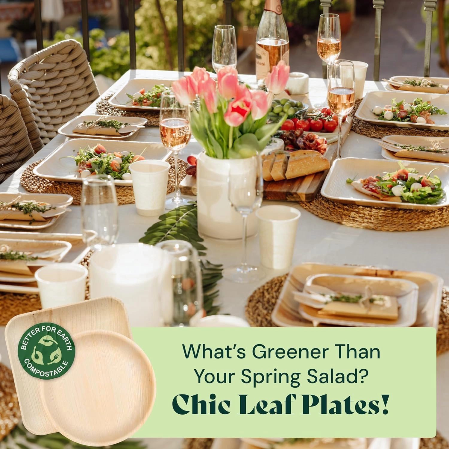 Chic Leaf Palm Leaf Disposable Bamboo Plates - Round Party Plates for Weddings, Parties, Event Appetizers - Biodegradable & Compostable - Party Supplies (10" & 6", 48 Pack)