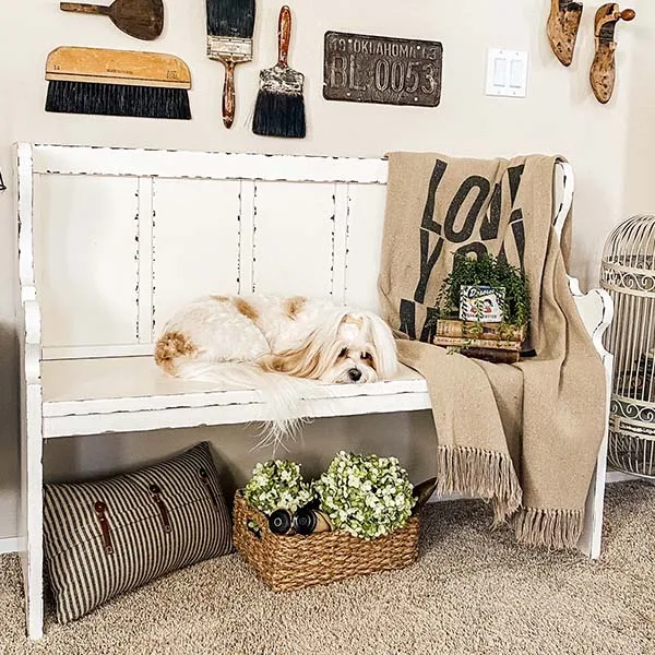 Distressed Ivory Pew Bench