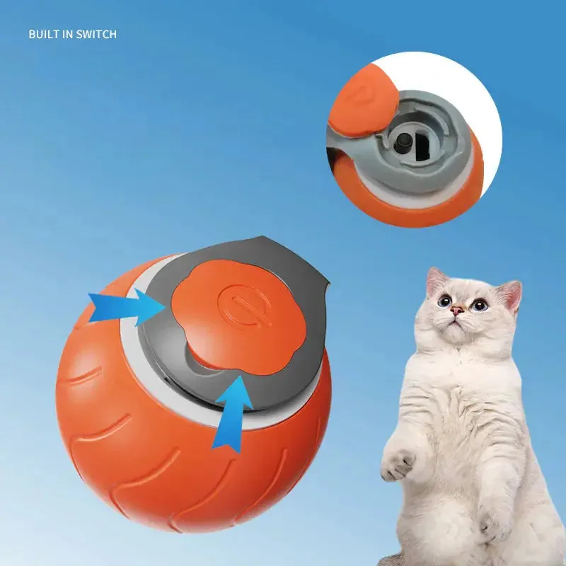 Dual-Speed Toy VIP offer Cat Refined Rechargeable USB