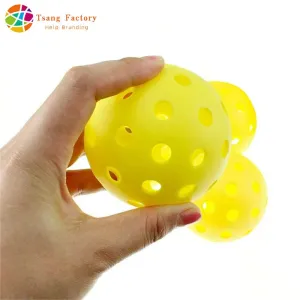 Durable Outdoor 40 Holes Training Pickleball