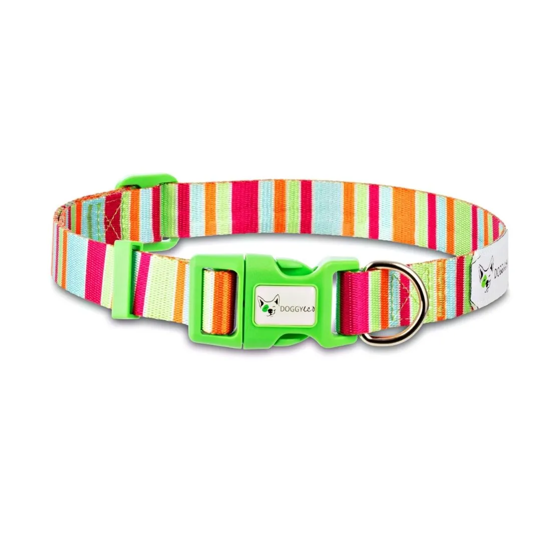 Eco Walking Set