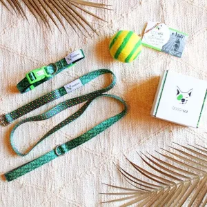 Eco Walking Set
