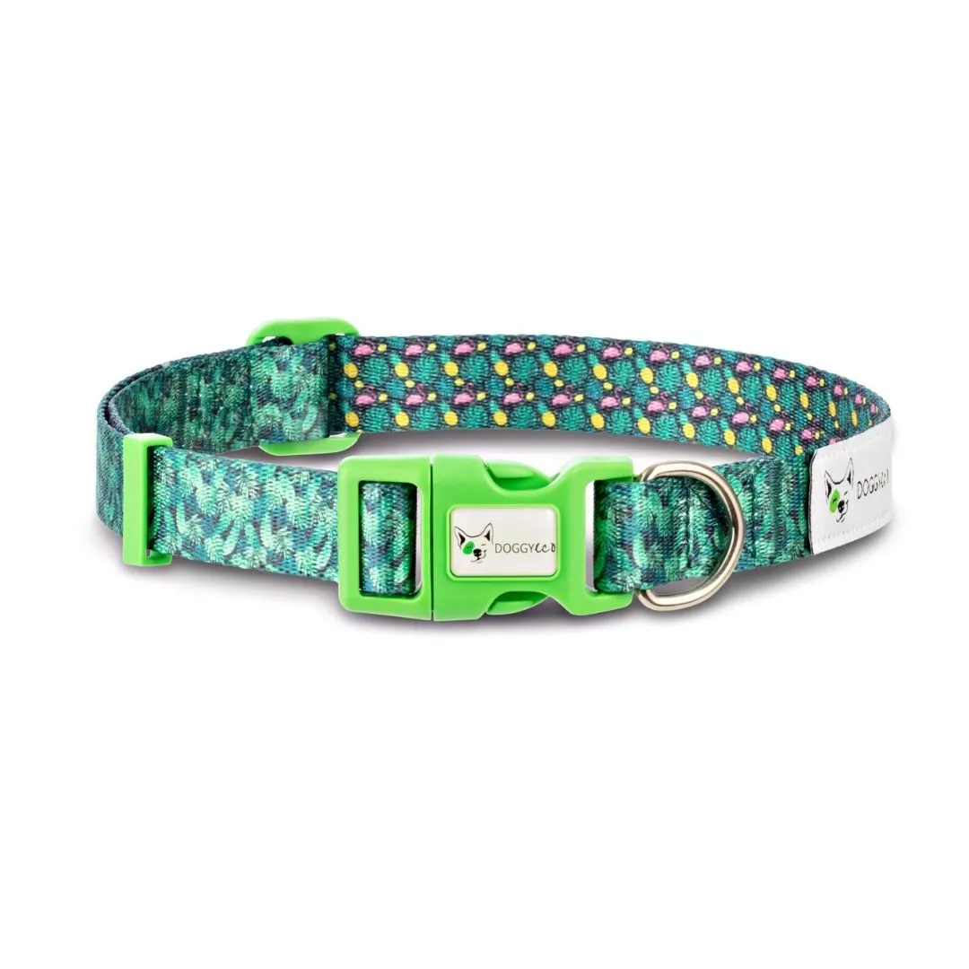 Eco Walking Set