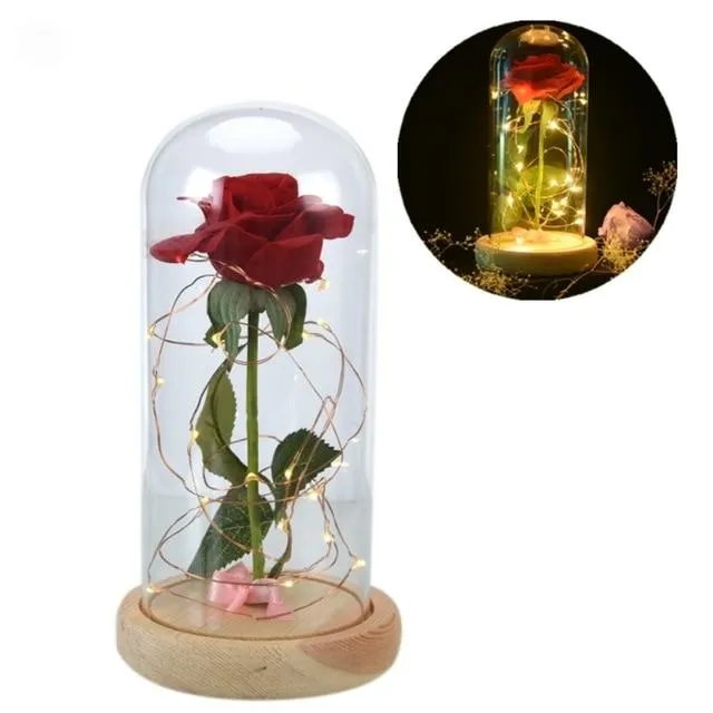 Fairy Tale Rose