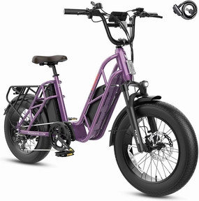 Fucare Gemini 1200w/2400w Peak Dual Motor AWD Electric Bike for Adults 35MPH 48V 30AH Dual Battery 120 Miles Long Range Ebike 20'' 4.0 Fat Tire Cargo Electric Bicycles,Hydraulic Brake,UL2849