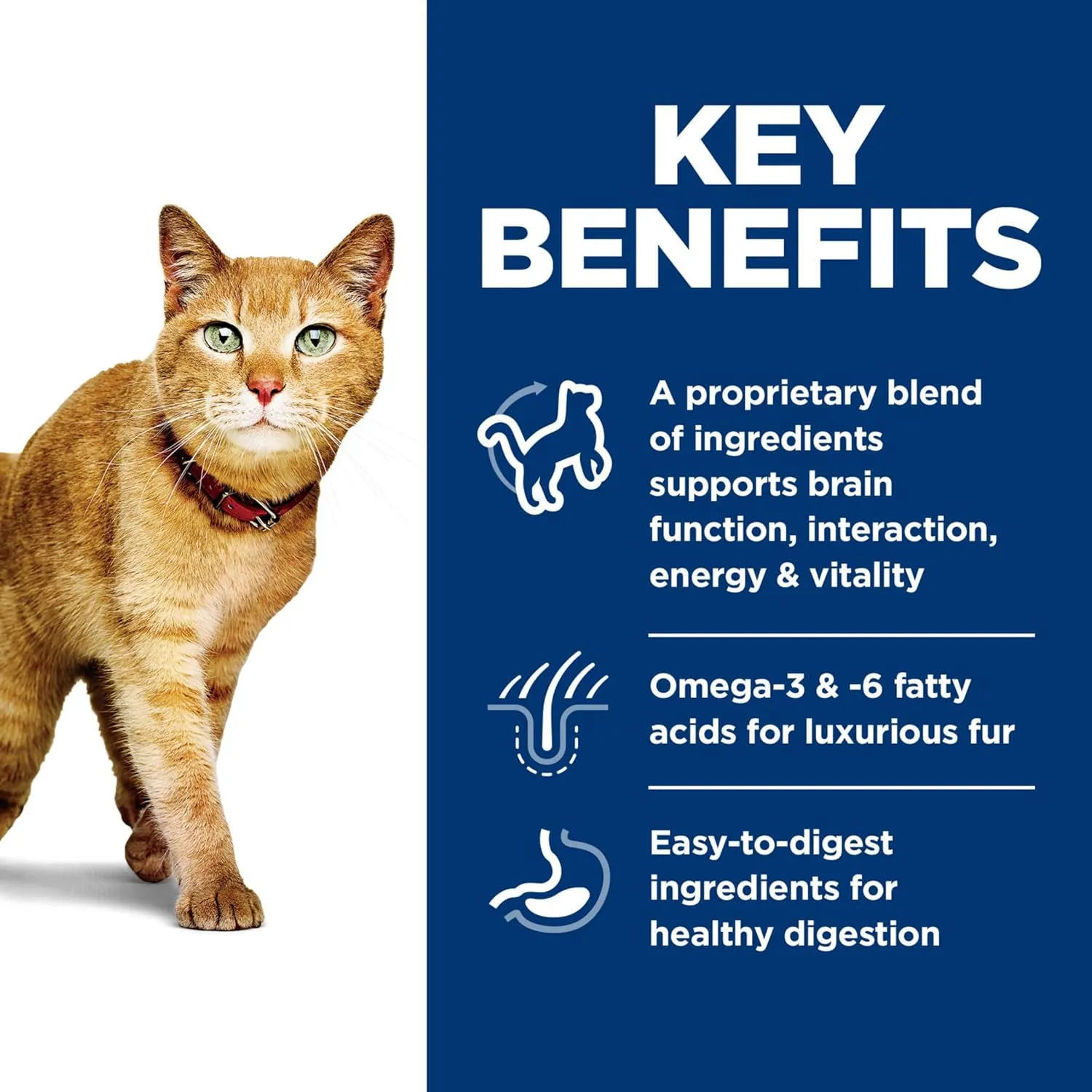 Hill's Science Diet Senior Vitality, Senior Adult 7 , Senior Premium Nutrition, Dry Cat Food, Chicken & Rice, 6 lb Bag