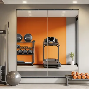 Home Gym Mirror for Wall, Mirror Full Length,56x28x2PCS,Glass Frameless Body Large Mirror for Home Gym, Workout,Bedroom, Garage(Black)