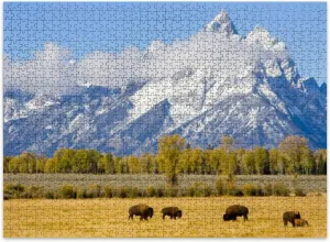 Jigsaw Puzzles 500 Pieces for Adult Bison Herd Field Mountains Puzzle Game for Family Wooden Puzzle Toy Educational Games Puzzles for Home Decor
