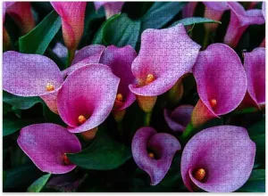Jigsaw Puzzles 500 Pieces for Adult Calla lilys Abstract Keukenhof Flower Park Puzzle Game for Family Wooden Puzzle Toy Educational Games Puzzles for Home Decor