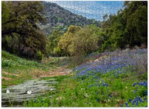 Jigsaw Puzzles 500 Pieces for Adult Creekside Bluebonnets Hills Puzzle Game for Family Wooden Puzzle Toy Educational Games Puzzles for Home Decor