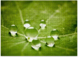Jigsaw Puzzles 500 Pieces for Adult Water Drops Puzzle Game for Family Wooden Puzzle Toy Educational Games Puzzles for Home Decor