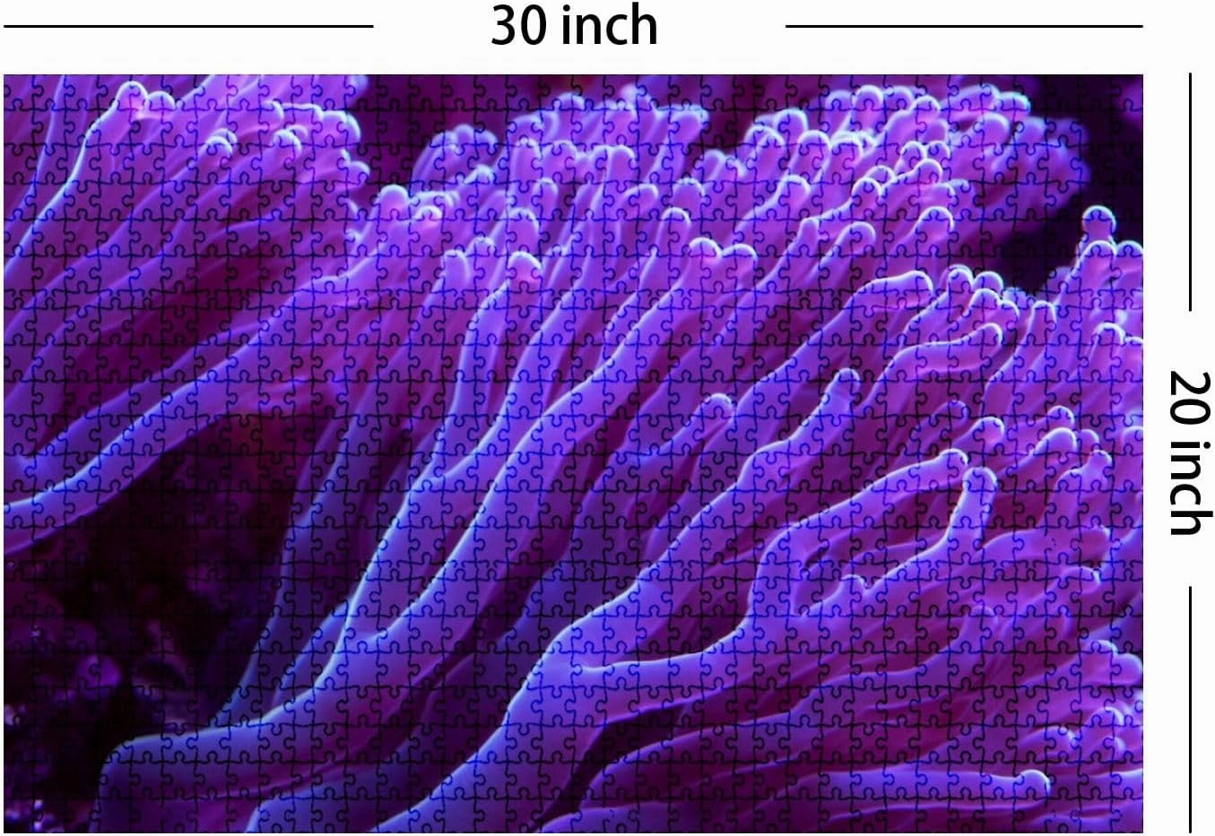 Jigsaw Puzzles 1000 Pieces for Adult Purple Corals Texture Underwater Marine Aquarium Puzzle Game for Family Wooden Puzzle Toy Educational Games Puzzles for Home Decor