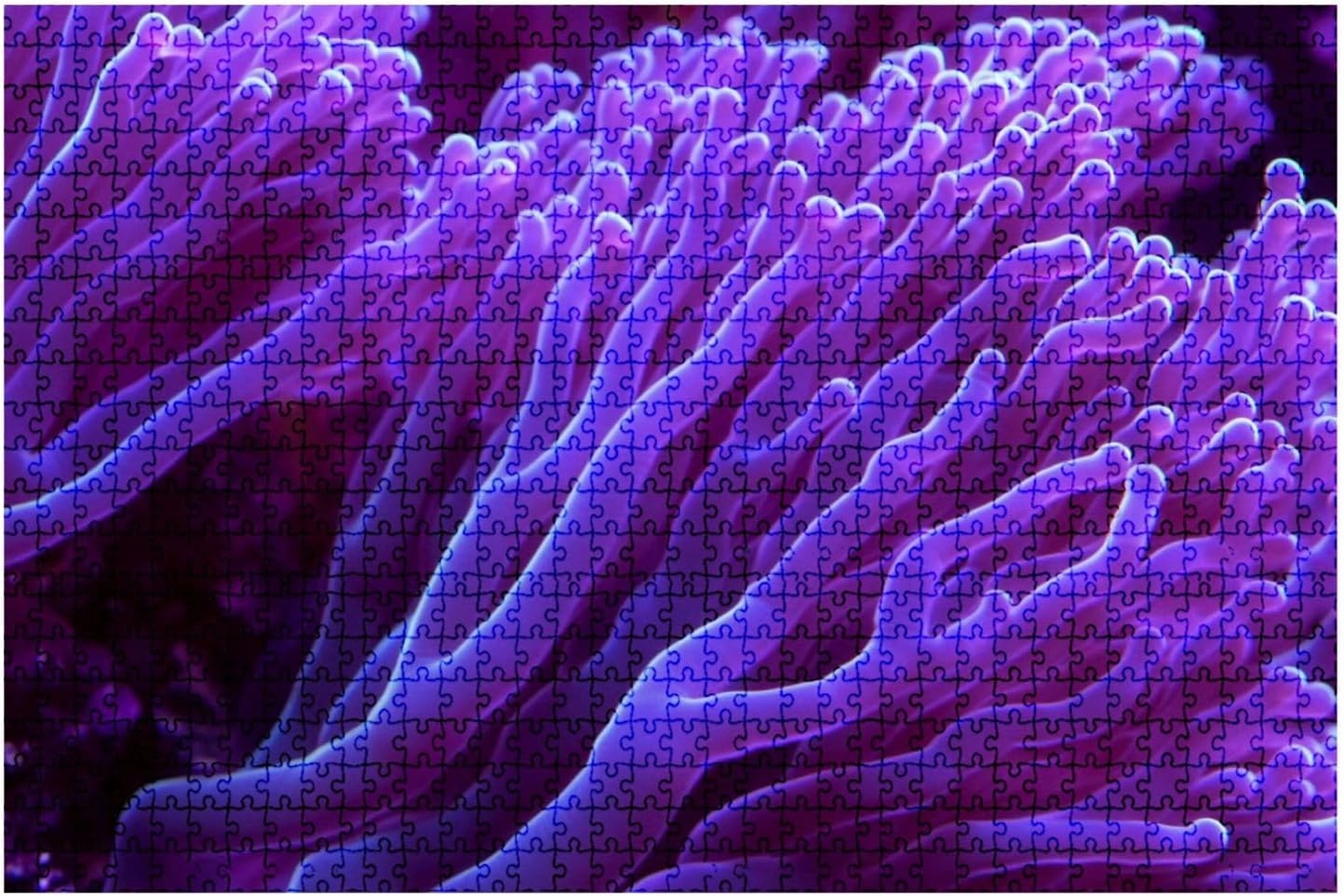 Jigsaw Puzzles 1000 Pieces for Adult Purple Corals Texture Underwater Marine Aquarium Puzzle Game for Family Wooden Puzzle Toy Educational Games Puzzles for Home Decor