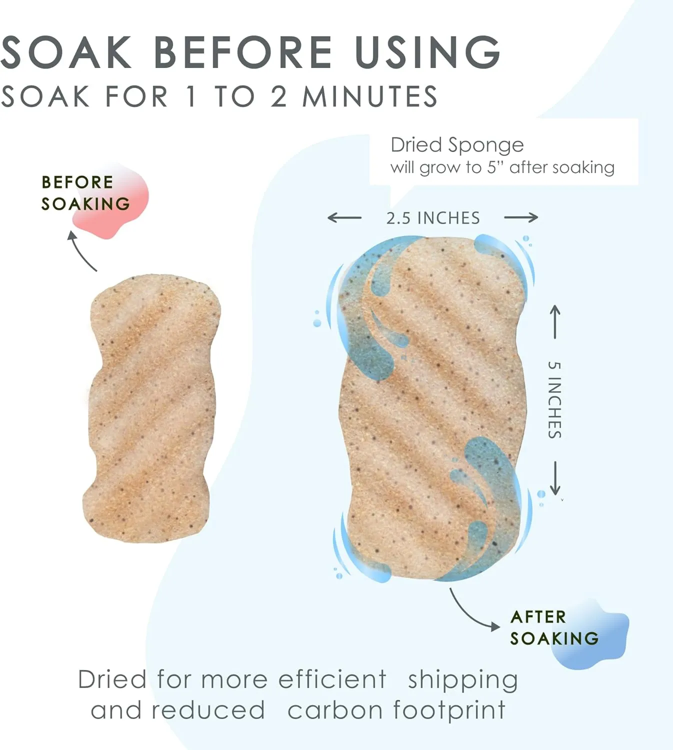 Konjac Body Sponge (2 Pack) Exfoliating Crushed Walnut | 100% Natural & Dye Free | Non-Toxic | Biodegradable | Eco-Friendly | Plastic Free Packaging
