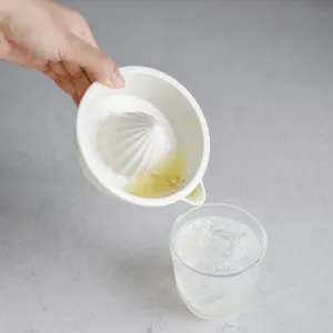 Lemon Squeezer