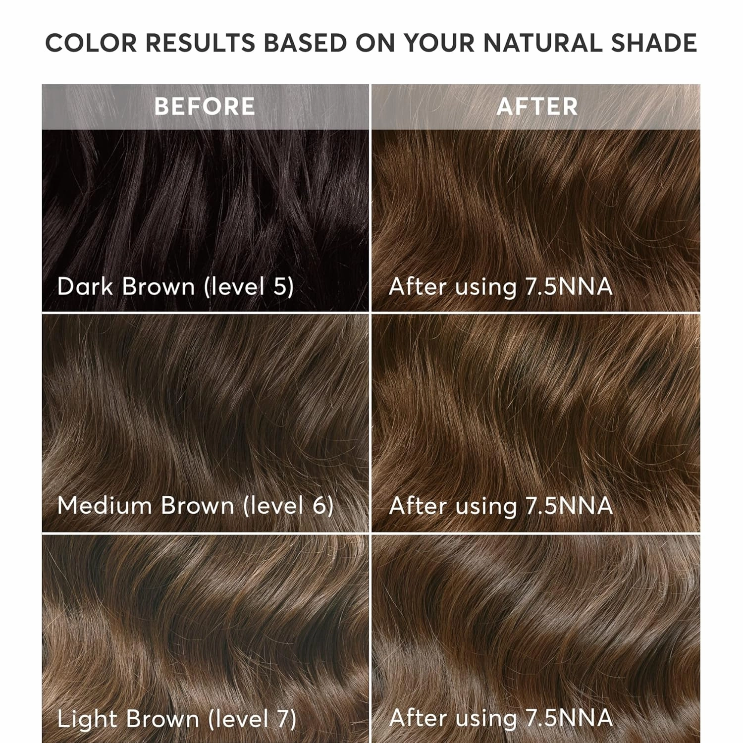 Madison Reed Radiant Hair Color Kit, Light Neutral Brown for 100% Coverage of Resistant Gray Hair, Ammonia-Free, 7.5NNA Umbria Light Brown, Permanent Hair Dye, Pack of 3