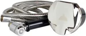 Manufacturers' Select ITC Stainless Steel Transom Shower with 8' Hose