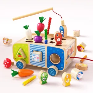 Montessori Wooden Shape Sorter Educational Toys for 2-3 Year Old Toddlers - Fine Motor Skills Development, Preschool Learning Gift for Boys and Girls