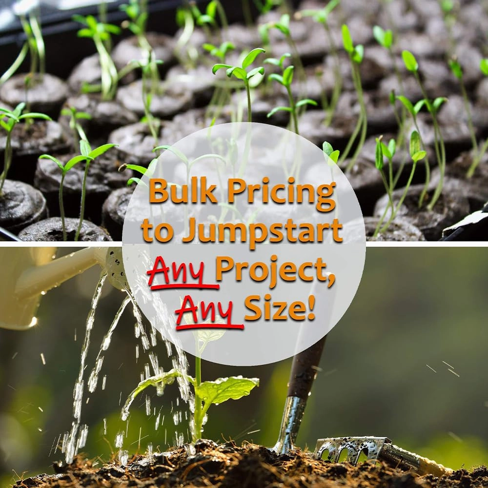 Organic Hulled (Husk Removed) Seeds: 5 Lb - Non-GMO Cereal Grain - Make Millet Beer, Grind Millet Flour, Cereal, Bird Seed, Emergency Food Storage