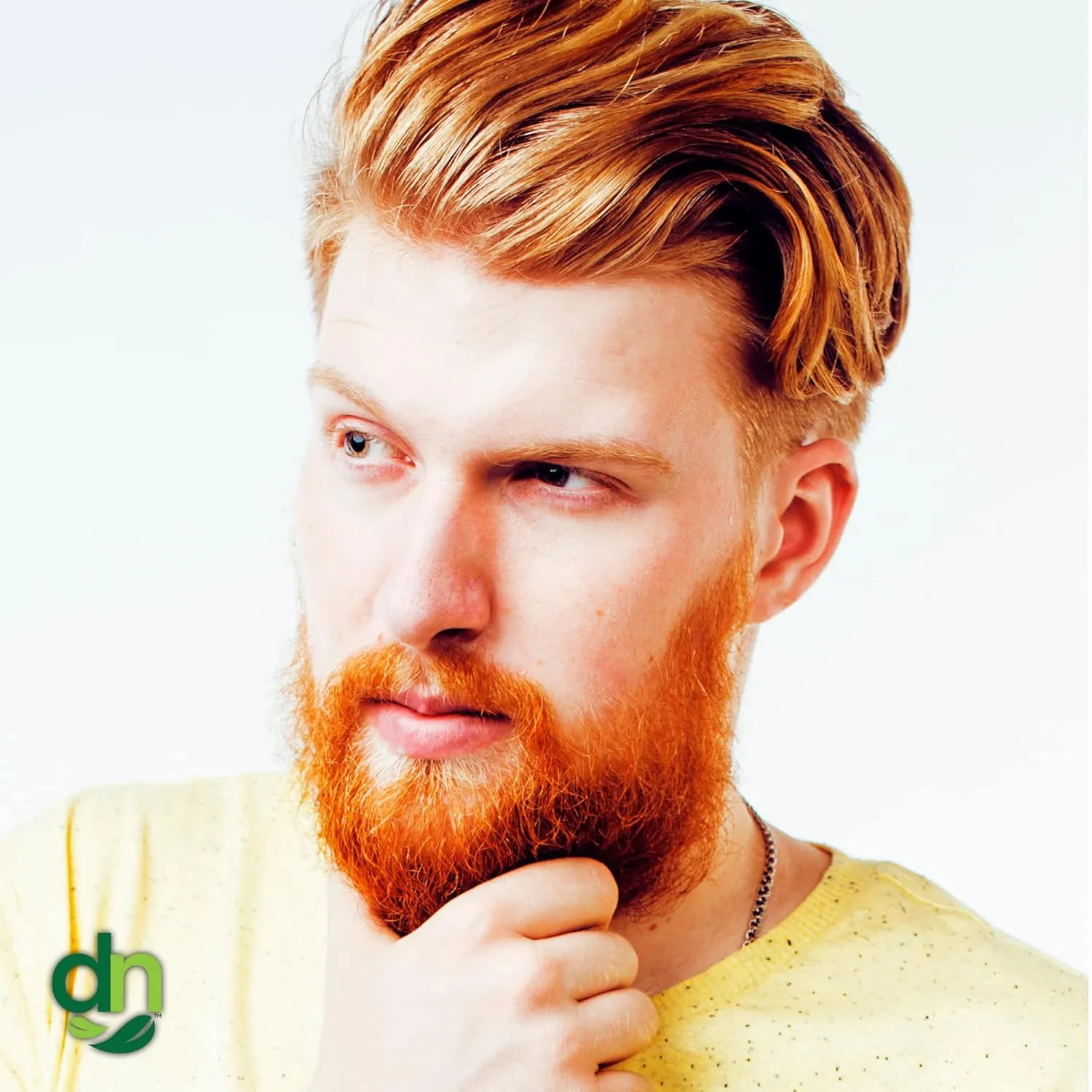 Red Henna Hair Color For All Kit | 100% All Natural Hair Dye & Beard Dye Powder (Bronze Shiny Copper) Organic, Herbal & Vegan Chemical & Cruelty Free Permanent Gray Coverage & Tinting