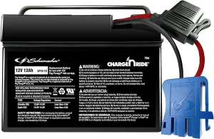 Schumacher Electric 12V Battery for Ride on Toys - TB4 12V 12 Amp Hours with Replaceable Fuse - Rechargeable 12V Ride On Replacement Battery for Peg Perego Vehicles - Safe & Easy to Use