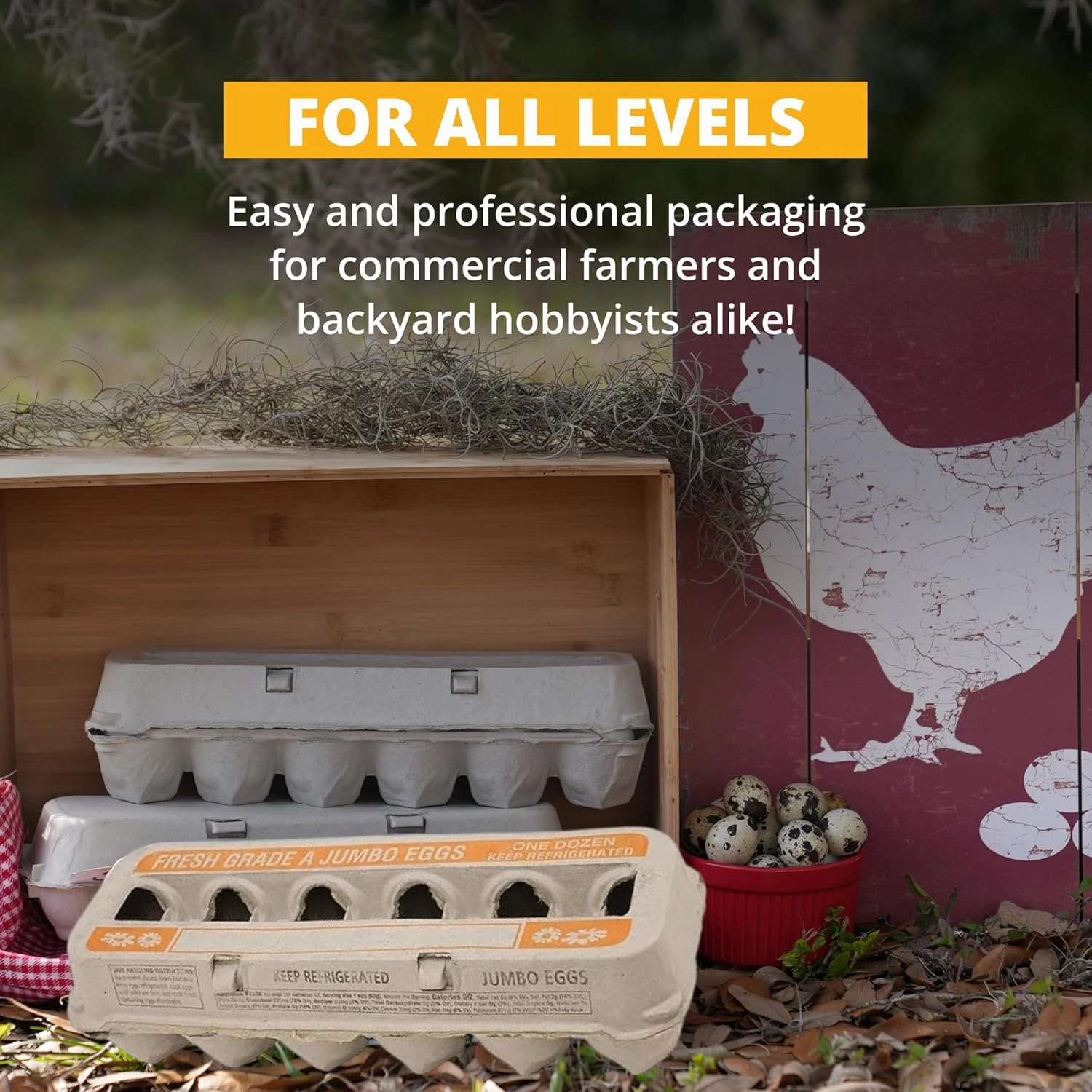 Stromberg's Fresh Grade A Jumbo Printed Egg Cartons, Biodegradable and Eco-Friendly, Made From Recycled Materials, With Educational Prints for Safe Handling Instructions and Nutrition Facts, 200 Pack