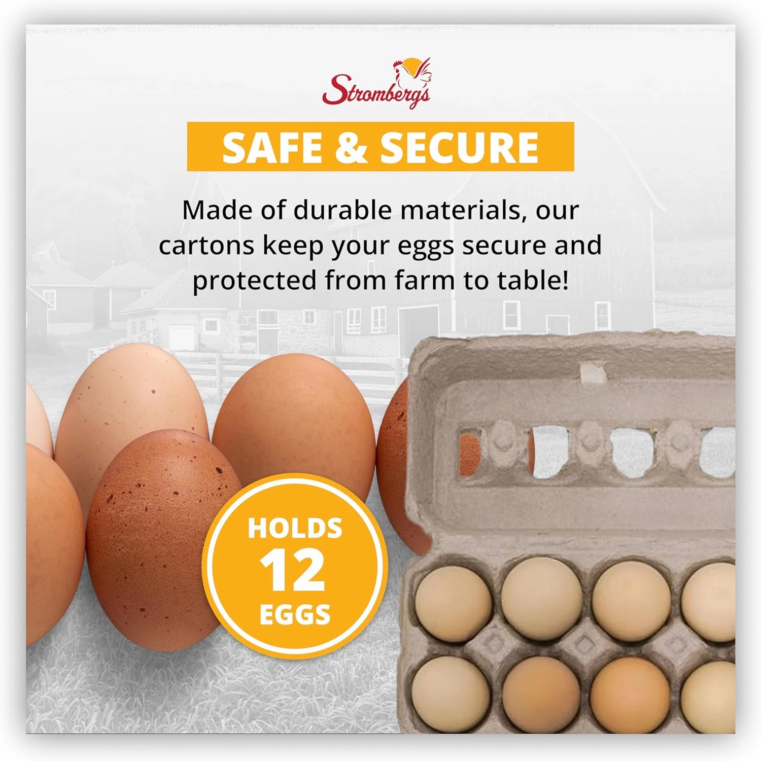 Stromberg's Fresh Grade A Jumbo Printed Egg Cartons, Biodegradable and Eco-Friendly, Made From Recycled Materials, With Educational Prints for Safe Handling Instructions and Nutrition Facts, 200 Pack