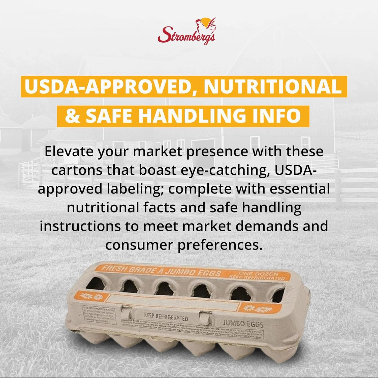 Stromberg's Fresh Grade A Jumbo Printed Egg Cartons, Biodegradable and Eco-Friendly, Made From Recycled Materials, With Educational Prints for Safe Handling Instructions and Nutrition Facts, 200 Pack