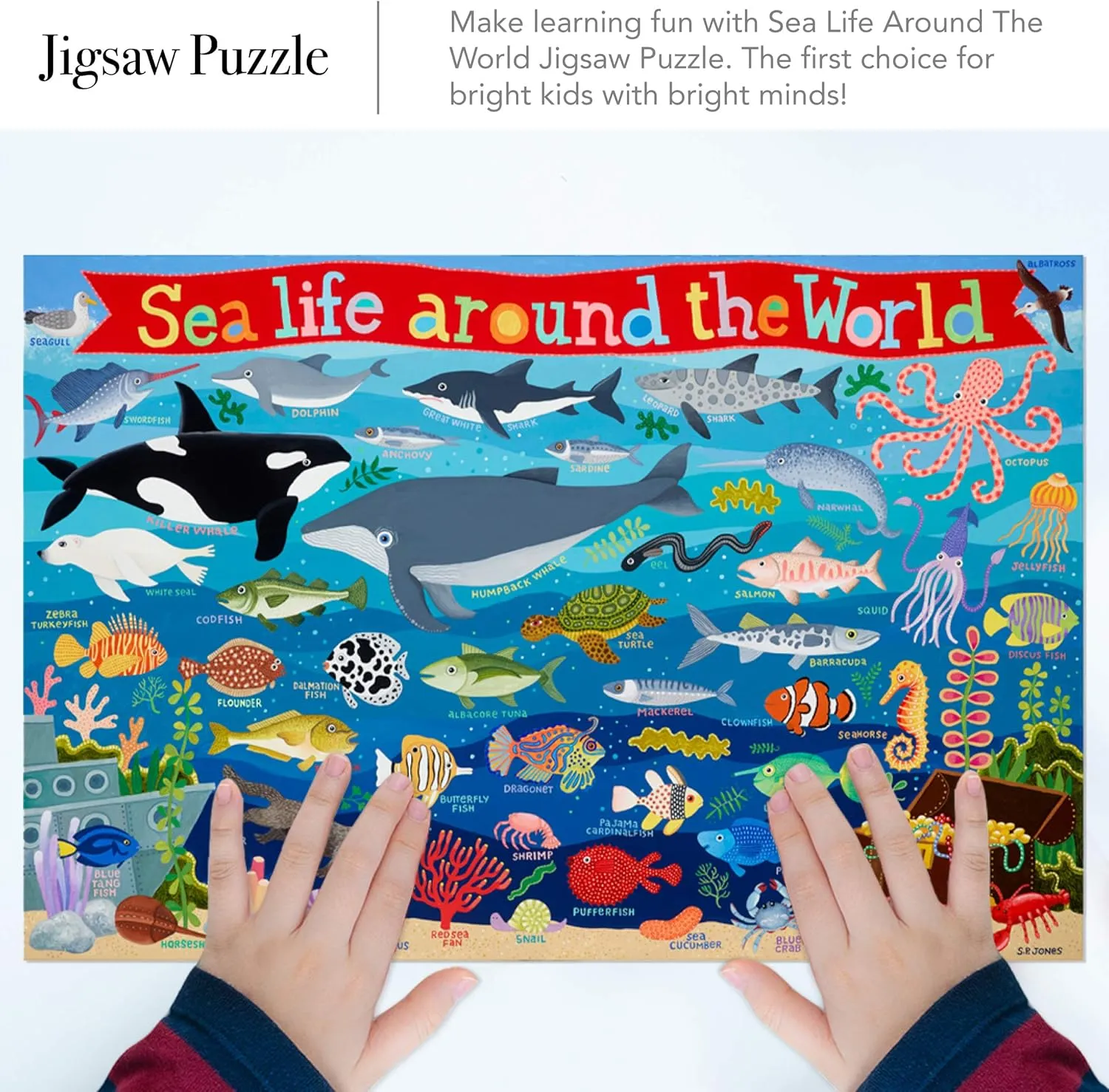 Waypoint Geographic Sea Life Around The World 100-Piece Jigsaw Puzzle, Puzzles for Kids, Jigsaw Puzzles for Endless Fun, Educational Puzzles for Personalized Gifts, 13" x 19"